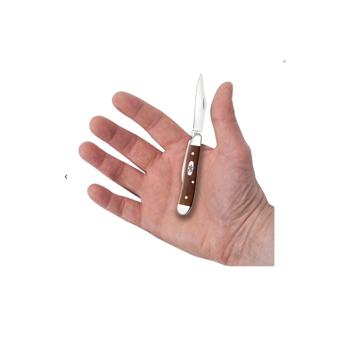 CASE KNIVES SMOOTH CHESNUT BONE PEANUT