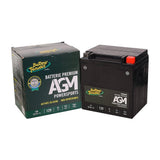 BATTERY TENDER AGM BATTERY 12V 32AH 400CCA - Motoworld Philippines